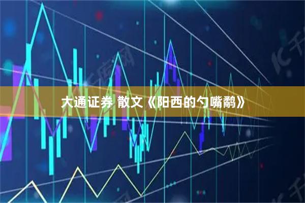 大通证券 散文《阳西的勺嘴鹬》