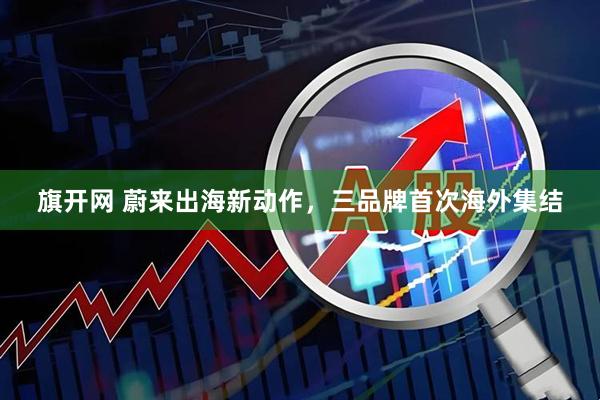 旗开网 蔚来出海新动作，三品牌首次海外集结