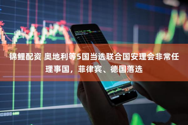 锦鲤配资 奥地利等5国当选联合国安理会非常任理事国，菲律宾、德国落选